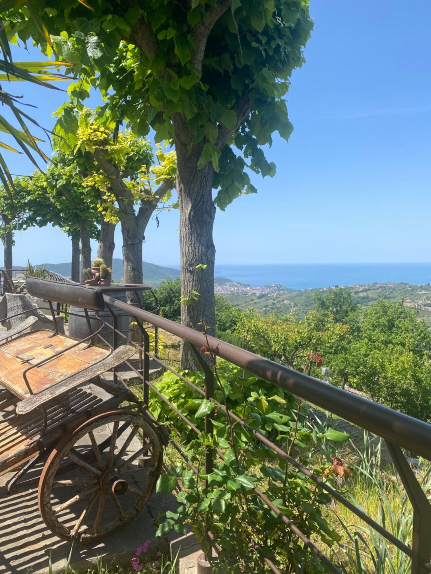 B&B Il Giardino Di Armida Ogliastro Cilento Buitenkant foto