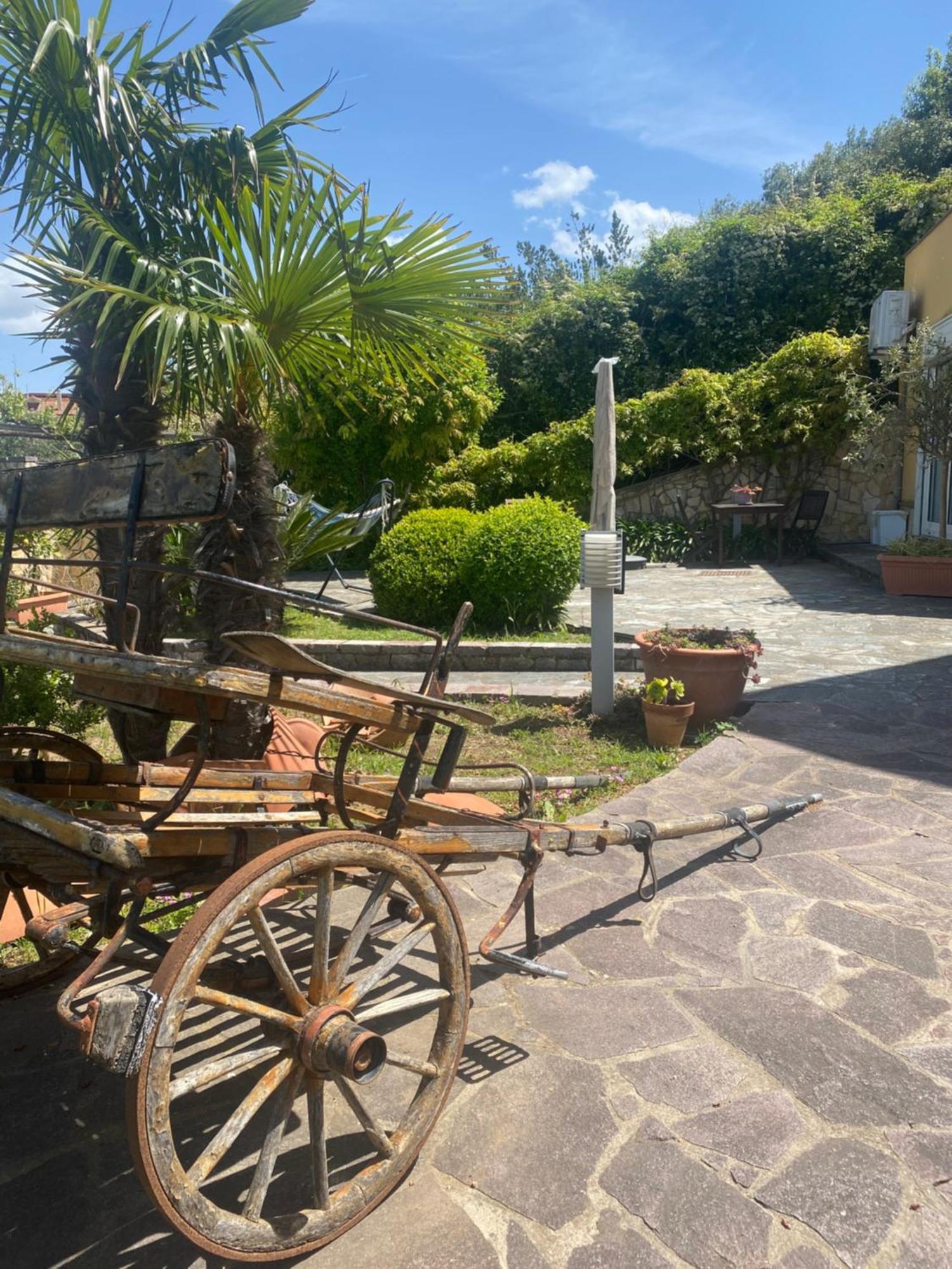 B&B Il Giardino Di Armida Ogliastro Cilento Buitenkant foto