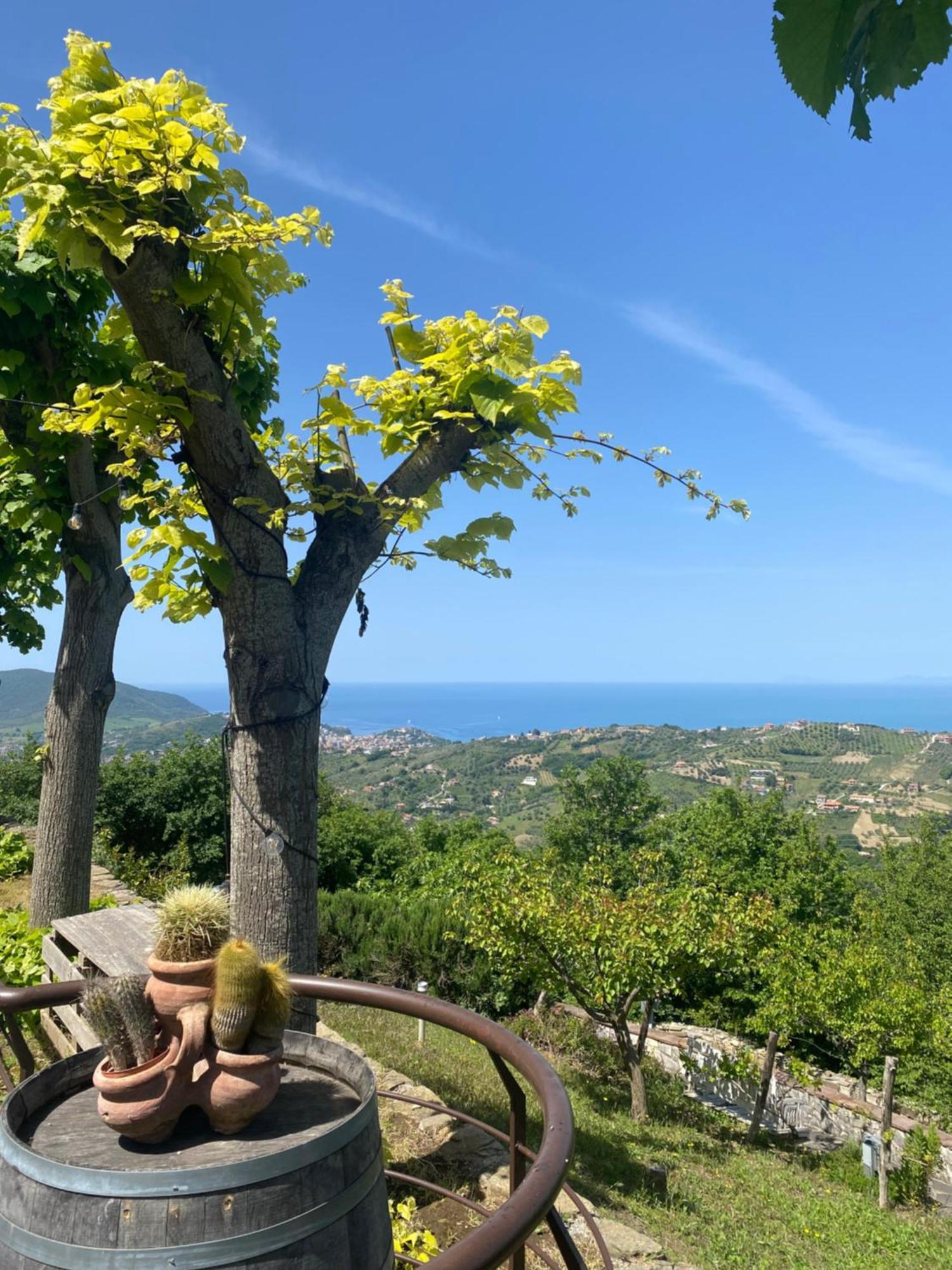 B&B Il Giardino Di Armida Ogliastro Cilento Buitenkant foto